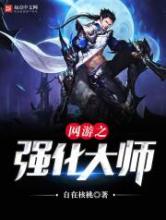 网游之强化大师小说