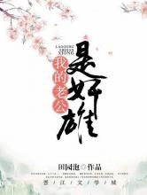 我的老公是奸雄小说