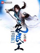 盖世农民工小说