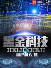 黑金科技小说
