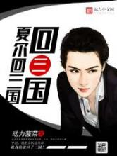 夏尔回三国小说