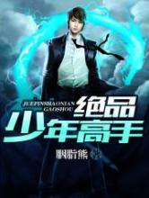 绝品少年高手小说