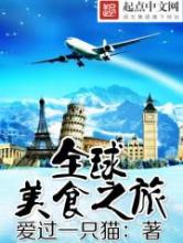 全球美食之旅小说