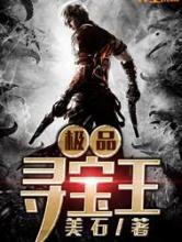 极品寻宝王小说