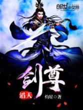 滔天剑尊小说
