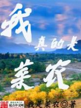 我真是菜农小说