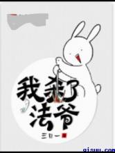 我杀了法爷小说