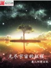 无尽宇宙的征程小说