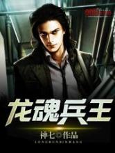 龙魂兵王小说