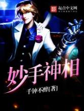 妙手神相小说