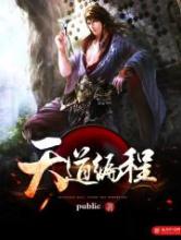天道编程小说