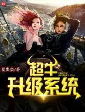超牛升级系统小说