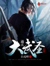 通天大武圣小说