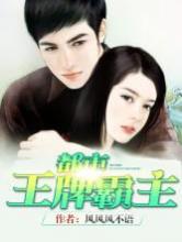 都市王牌霸主小说