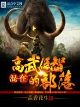 混在高武低智的部落小说
