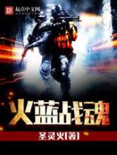 火蓝战魂小说