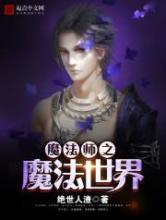 魔法师之魔法世界小说