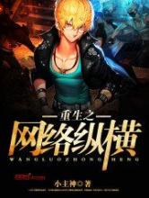 重生之网络纵横小说