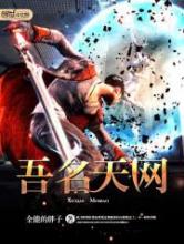 吾名天网小说