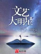 文艺大明星小说