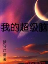 我的超级脑小说