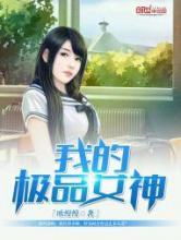 我的极品女神小说