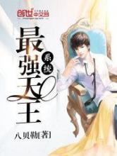 最强天王系统小说