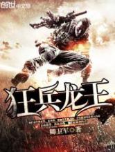 狂兵龙王小说