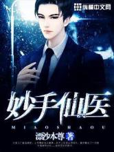 妙手仙医小说