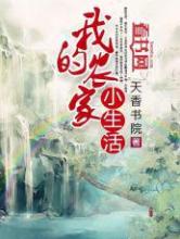 我的农家小生活小说