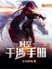 时空干涉手册小说