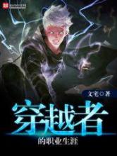 穿越者的职业生涯小说