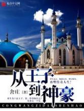 从王子到神豪小说