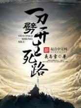 一刀劈开生死路小说