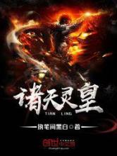 诸天灵皇小说