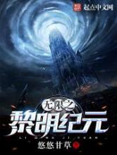 无限之黎明纪元小说