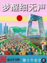 梦醒细无声小说