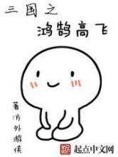 三国之鸿鹄高飞小说