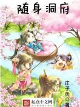 随身洞府小说