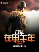 战斗在甲午年小说