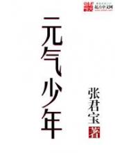 元气少年小说