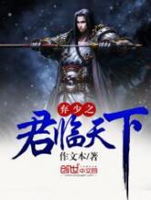 弃少之君临天下小说