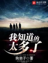 我知道的太多了小说