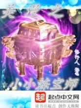 美漫之小小炼宝师小说