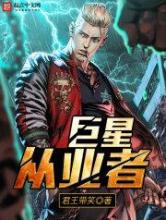巨星从业者小说