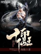 十印仙王小说