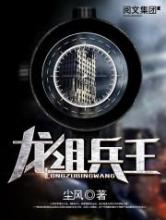 龙组兵王小说
