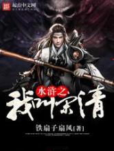 水浒之我叫宋清小说