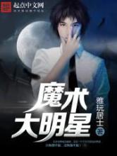 魔术大明星小说