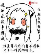 超次元战争游戏小说
